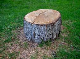 Best Hazardous Tree Removal  in Hiram, OH